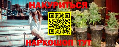 apvp Краснодар