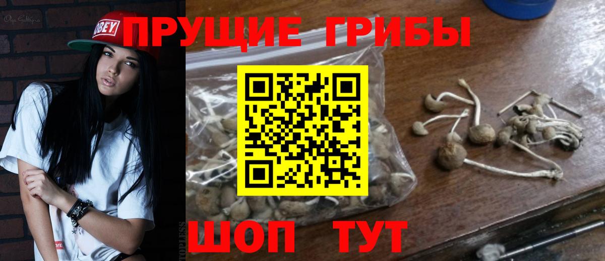 Галлюциногенные грибы прущие грибы  Псилоцибиновые грибы мухоморы  Кострома  Вход с VPN 